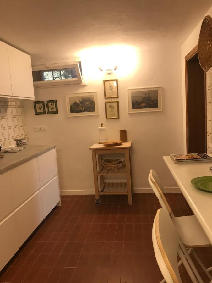 Campo Al Cerro Lägenhet Bolgheri Exteriör bild