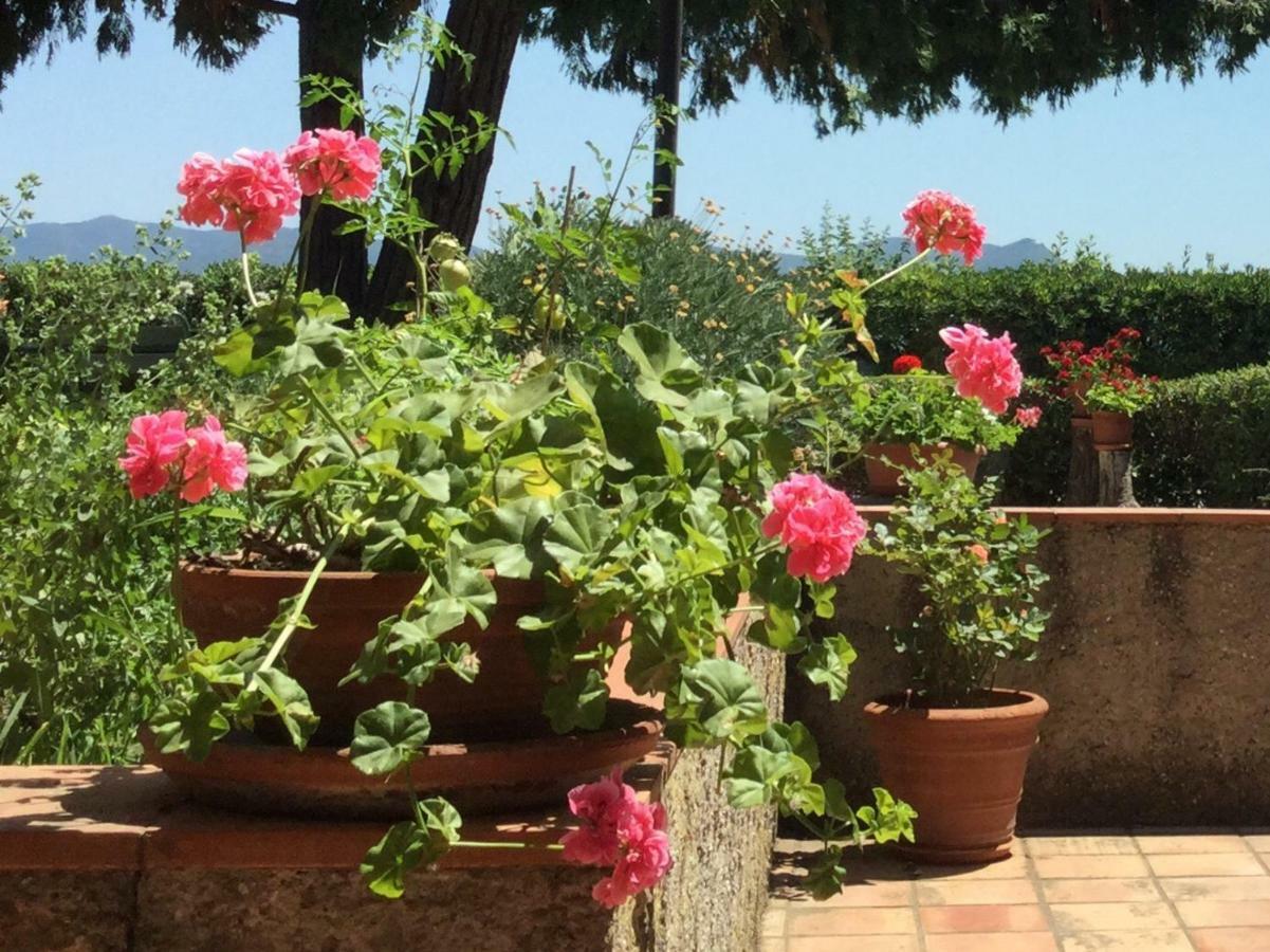 Campo Al Cerro Lägenhet Bolgheri Exteriör bild