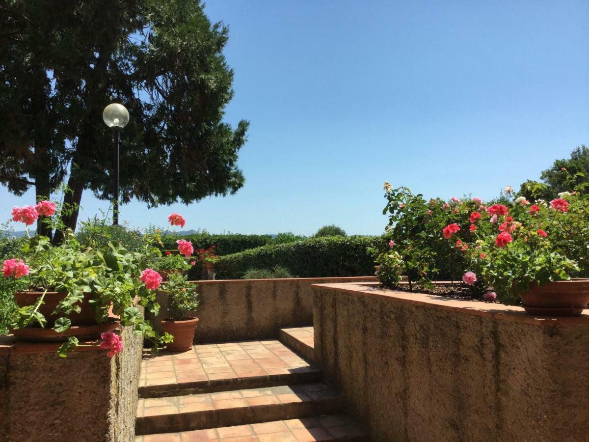 Campo Al Cerro Lägenhet Bolgheri Exteriör bild